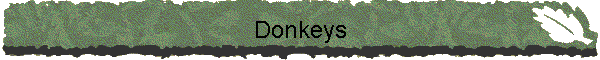 Donkeys