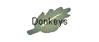 Donkeys