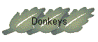 Donkeys